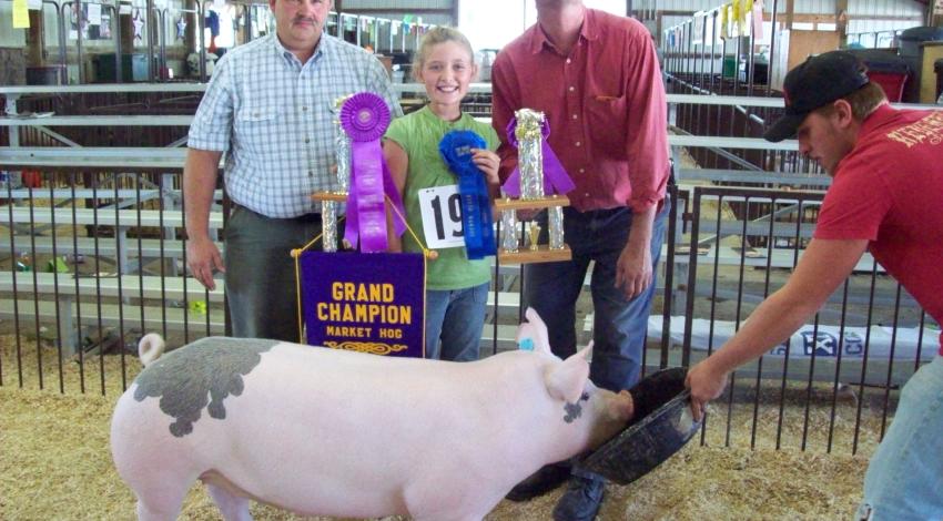 child with pig