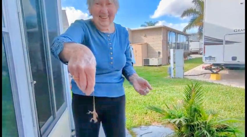 woman on patio holding a small lizard