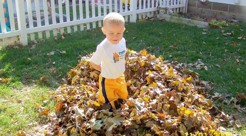 little boy in leaf pile