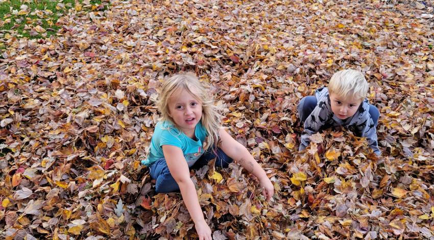 two children play in large leaf pile