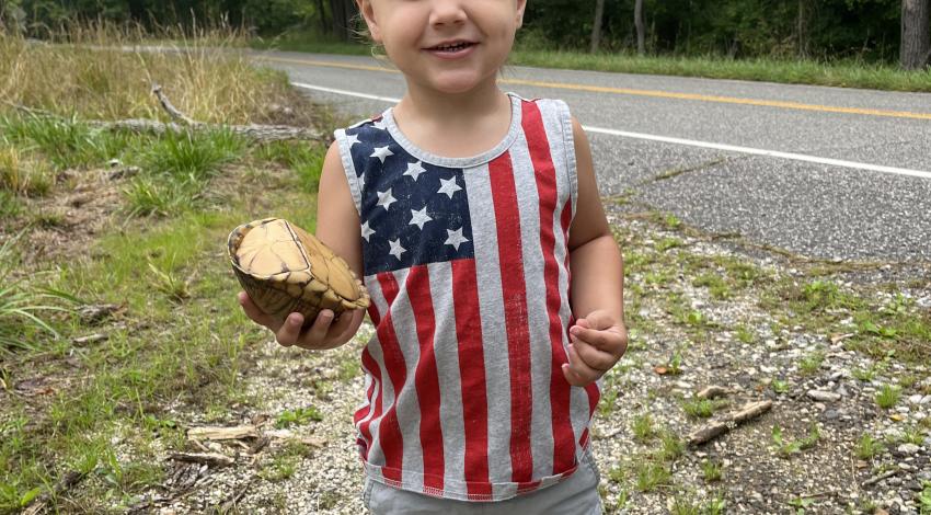 little boy in American flag shirt