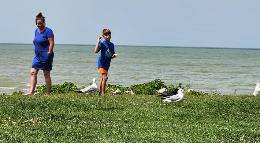 woman and boy feeding seagulls