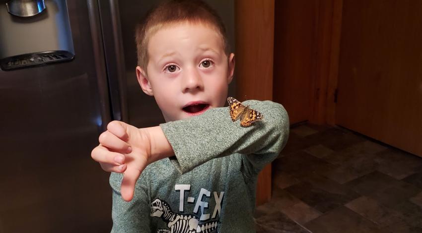Young boy standing in a kitchen with two butterflies, one on one hand and one on the other elbow