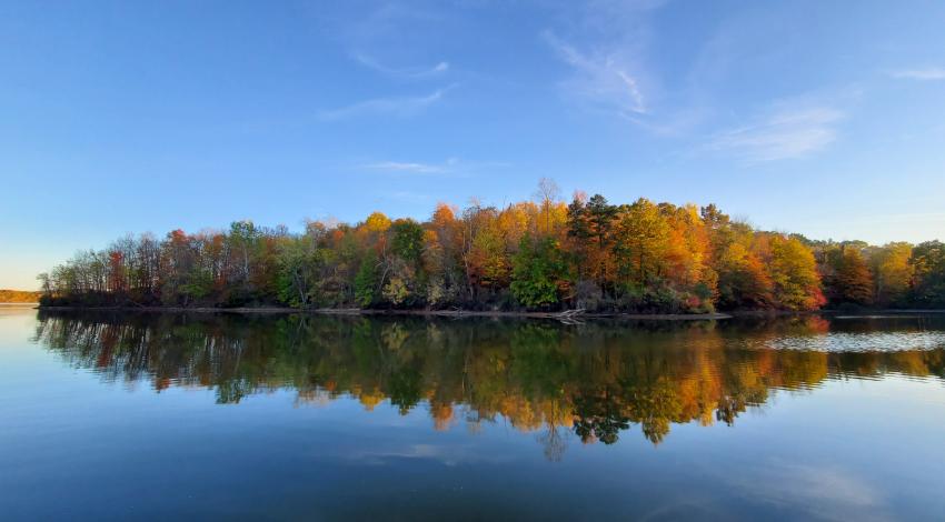 fall forest reflecting on lake
