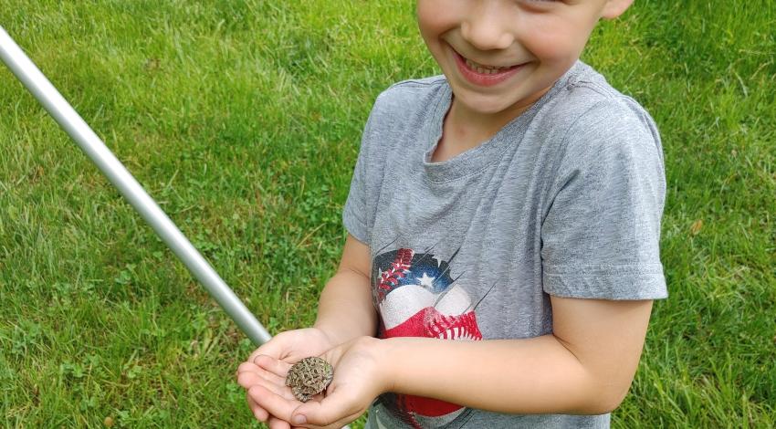 smiling little boy holding small toad