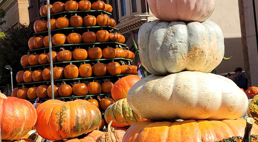 pumpkins piled in a pyramid