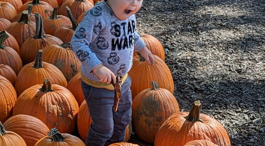 little boy surrounded by pumpkins