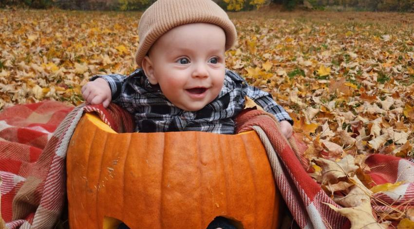 baby sitting in pumpkin among fall leaves