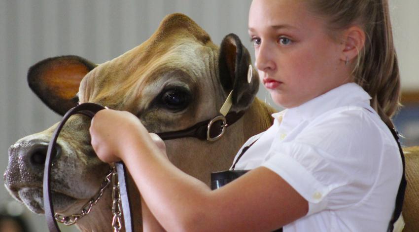 girl with cow