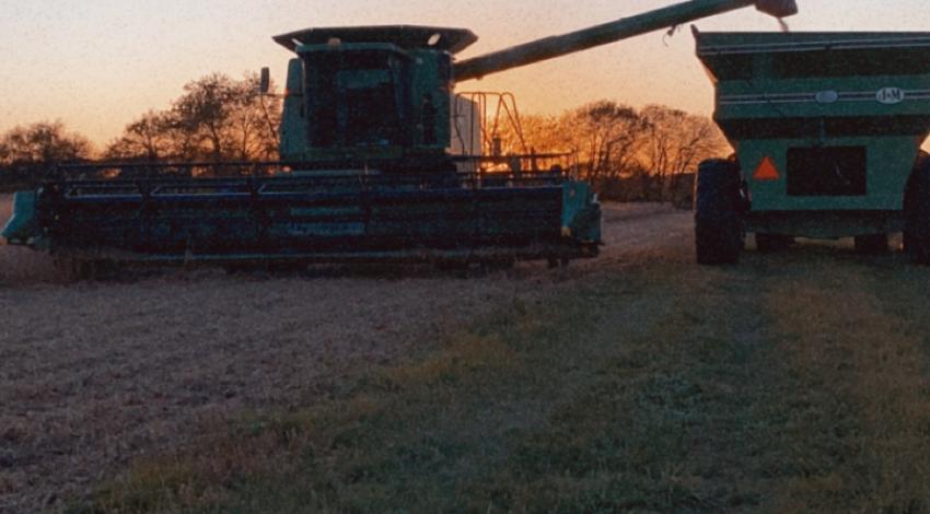 harvest machinery in front of fall trees