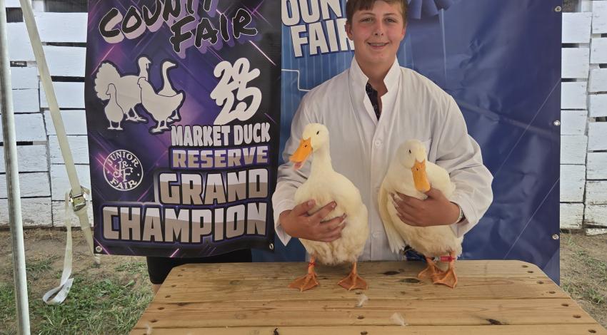 boy with ducks