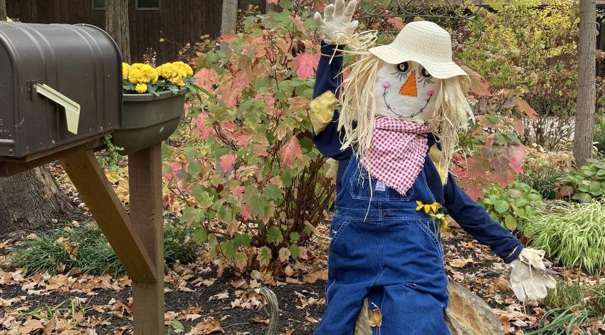 scarecrow and pumpkins in front of fall trees