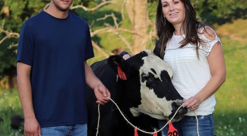 smiling man and woman with a cow