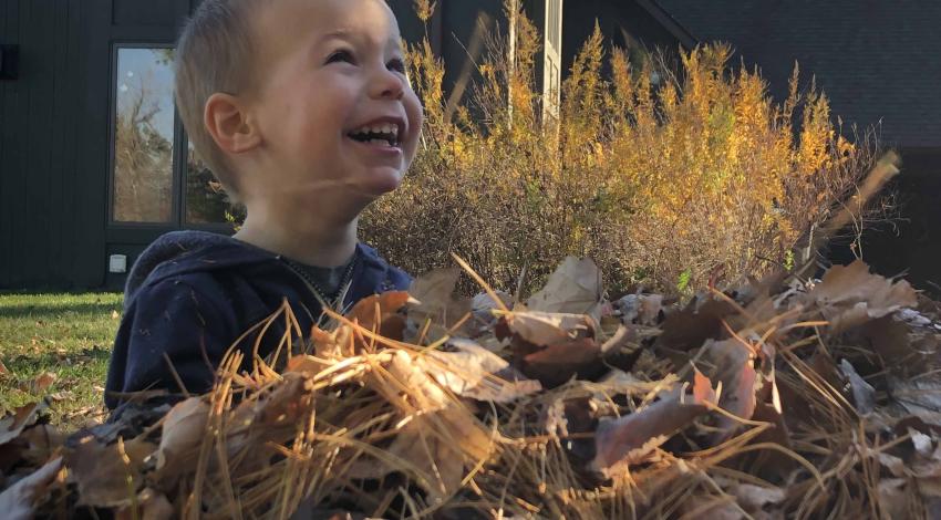 smiling boy in leaf pile