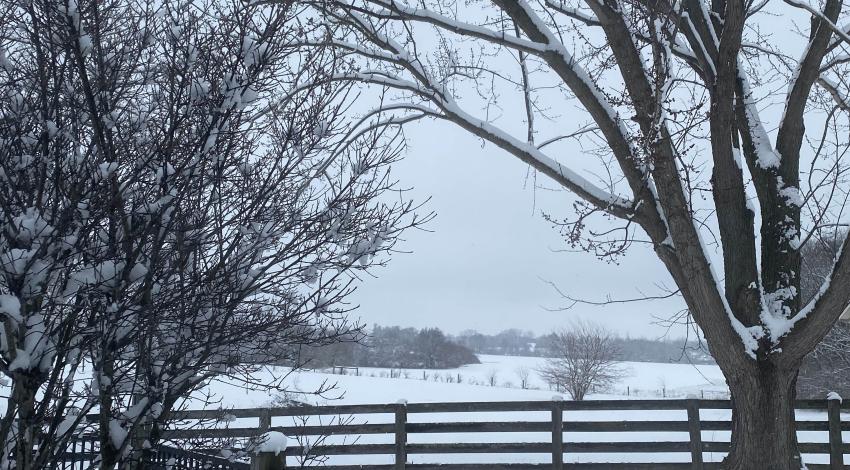 snowy yard, fence, and field beyond