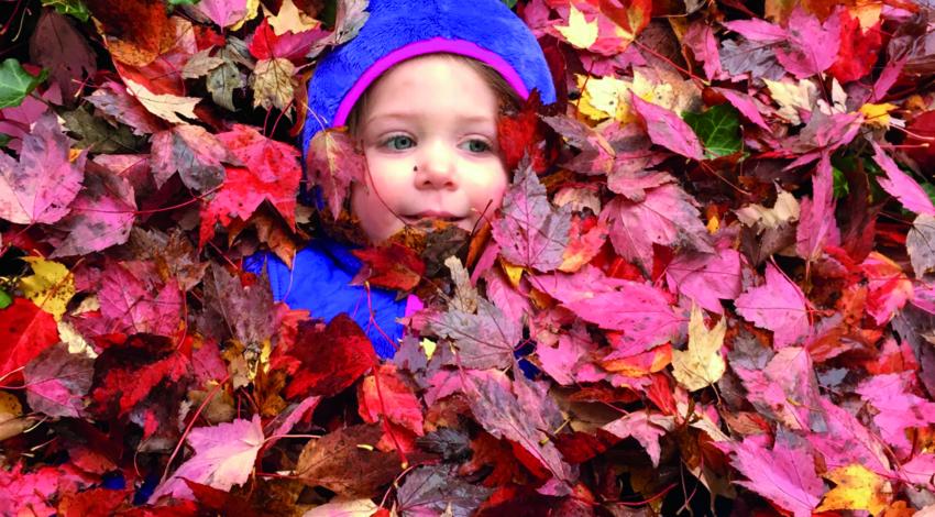 small child's face surrounded by leaves