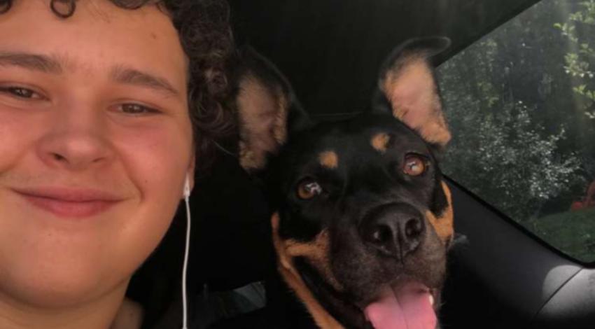 black and brown dog next to teen