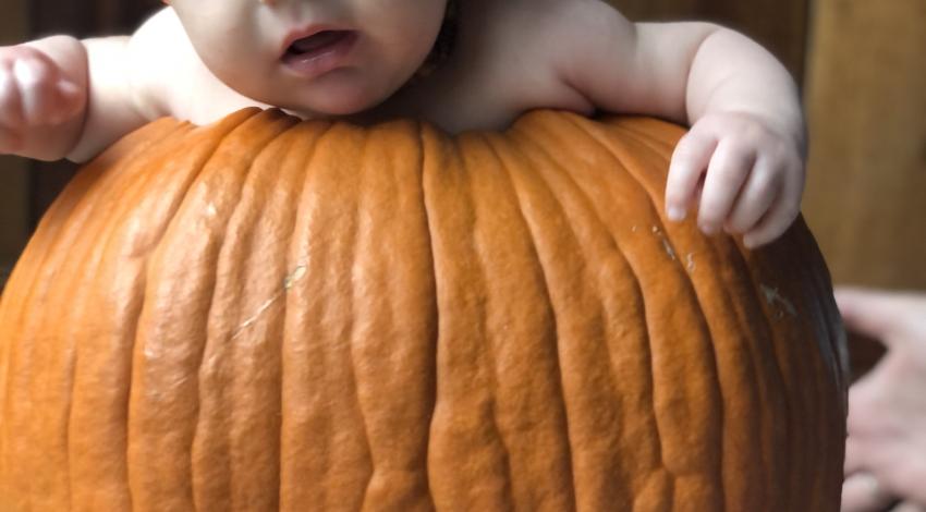 baby in a pumpkin hat sitting in a carved out pumpkin