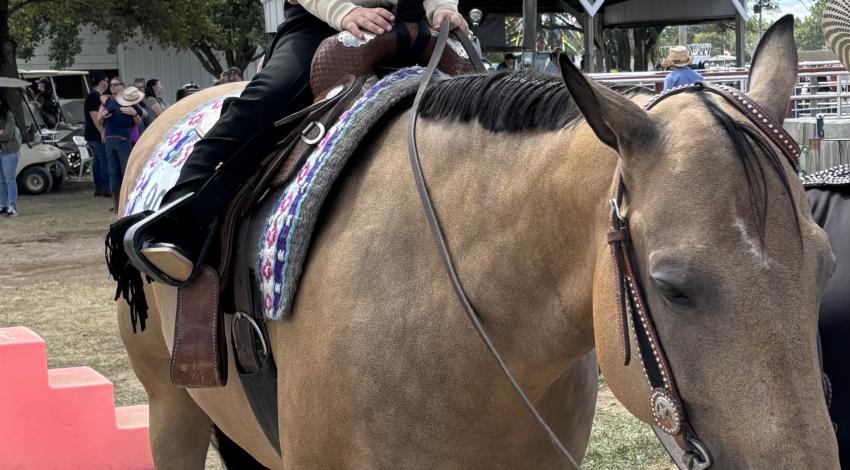 girl on horse