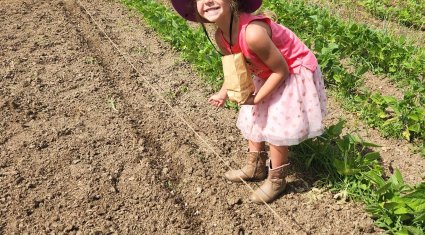 little girl in pink skirt, purple sun hat, and cowgirl boots smiles as she plants seeds