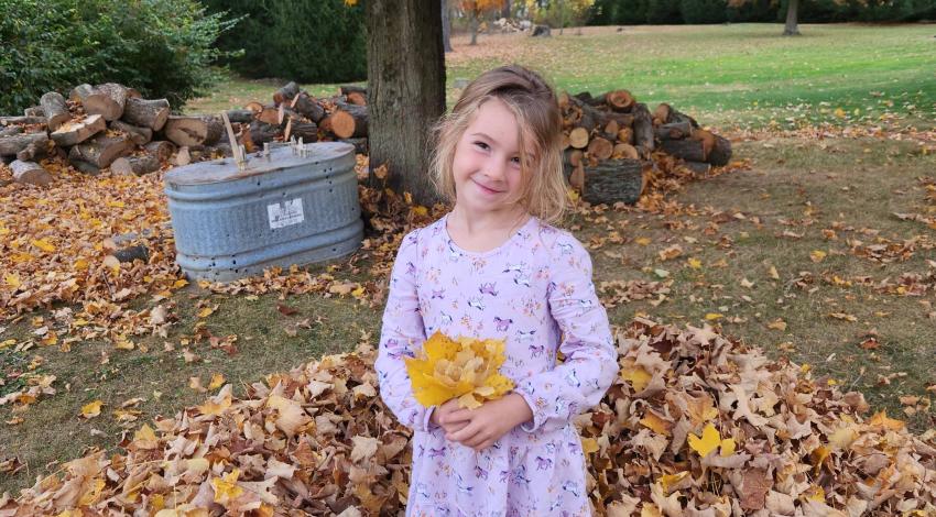 little girl in pink dress poses stands in leaf pile