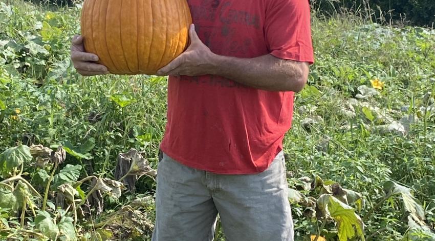 Man in pumpkin patch holding large, round pumpkin