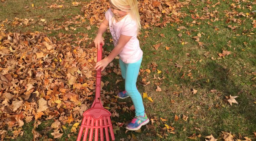 little girl raking leaves