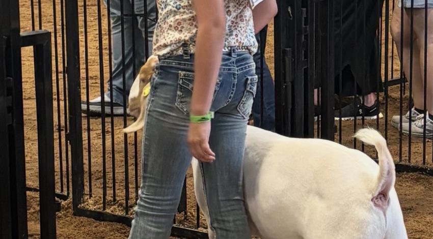 girl with goat