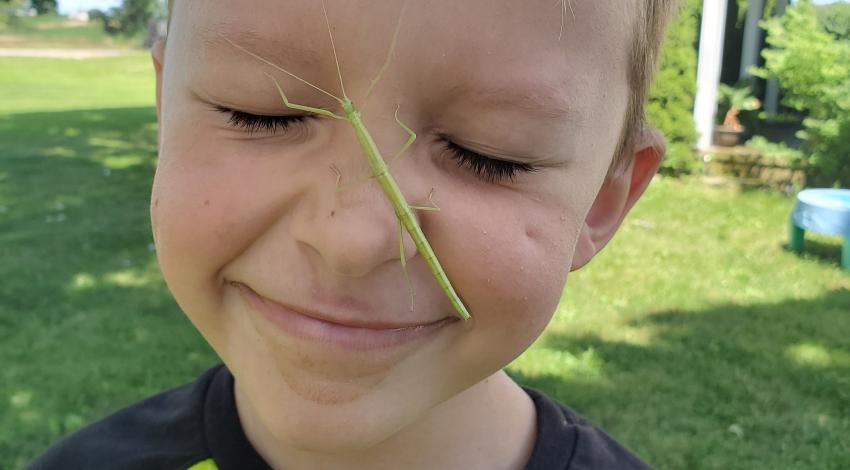 Small boy with long green bug on his smiling face
