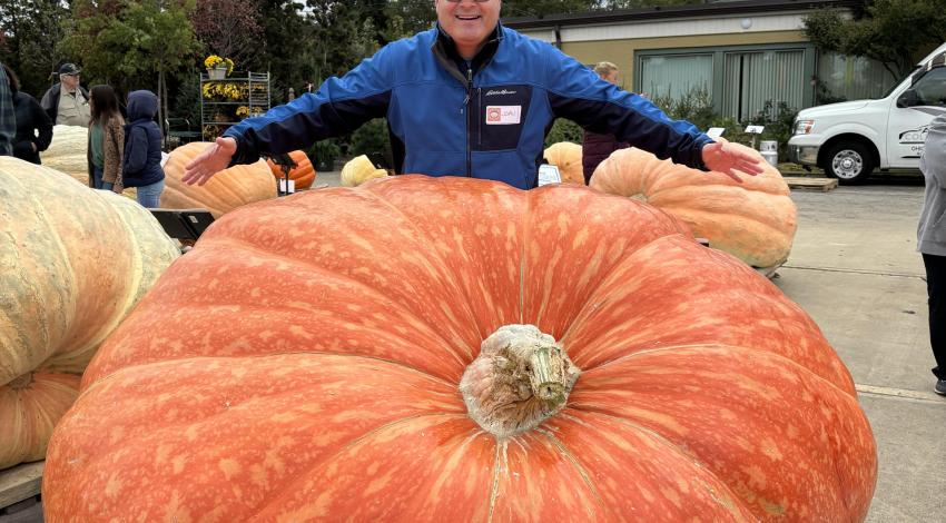 man standing behind enormous pumpkin