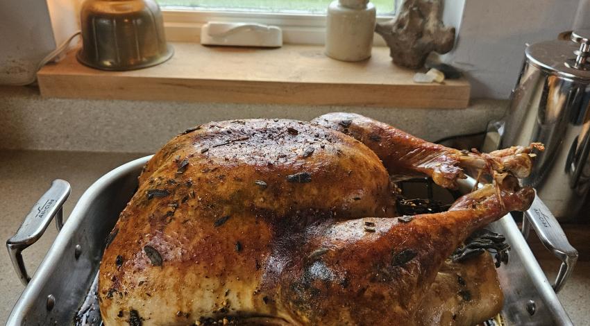 cooked turkey in roasting pan