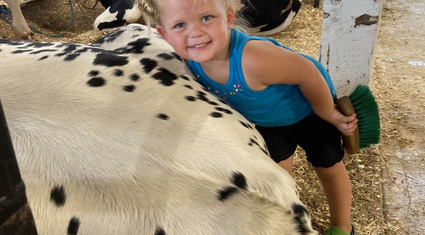 little girl with spotted steer