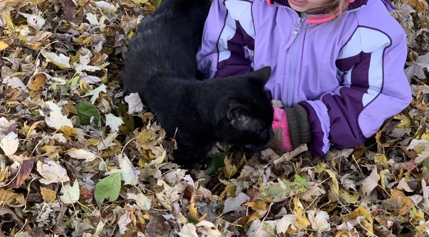 little girl in leaf pile with black cat