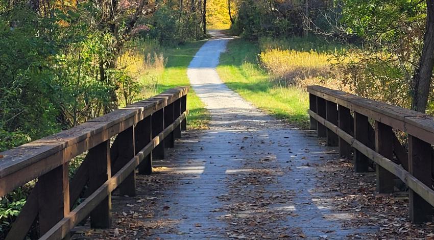 bridge on trail with fall trees