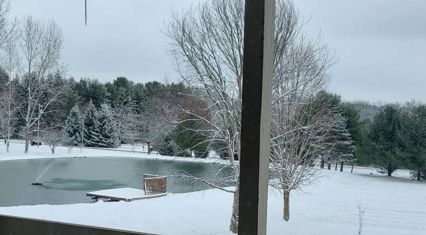 snowy scene around pond