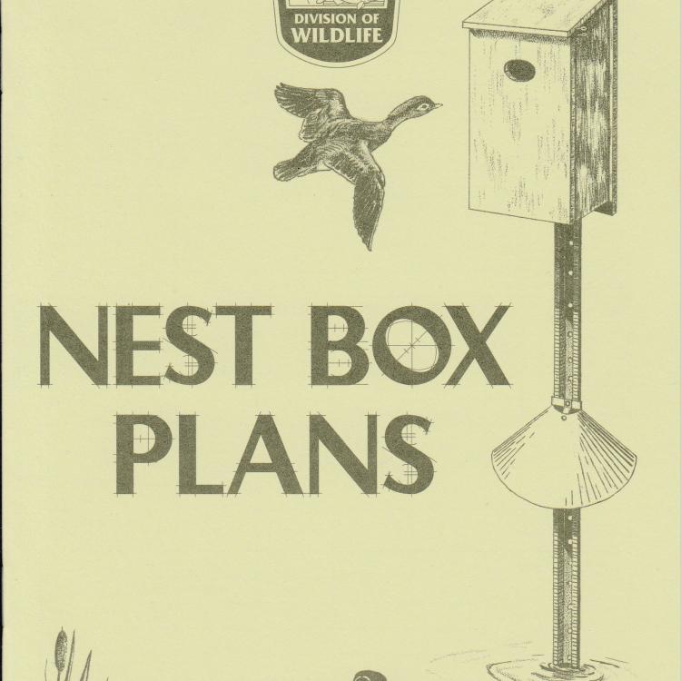 nest box plans