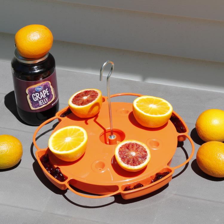 a bird feeder with oranges and grape jelly