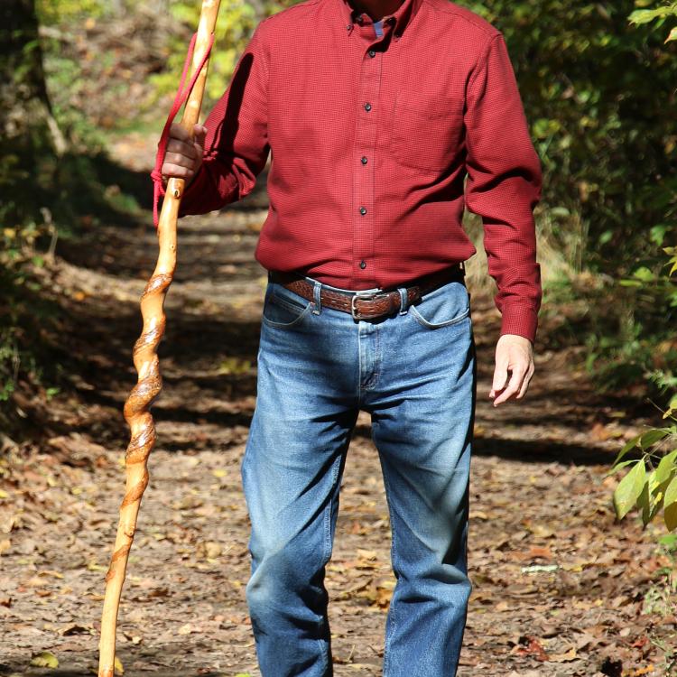 Chip walking in woods with walking stick