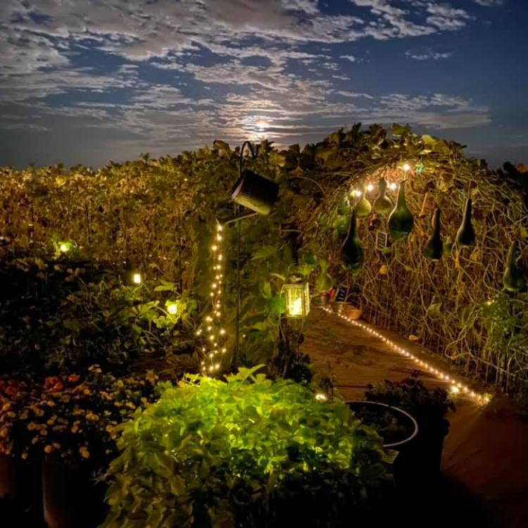 Gourd tunnel