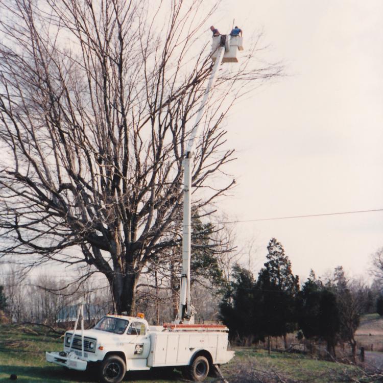 bucket truck
