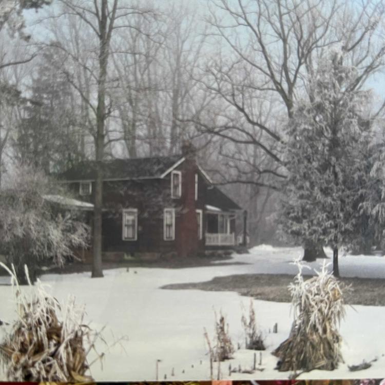 house surrounded by snowy trees