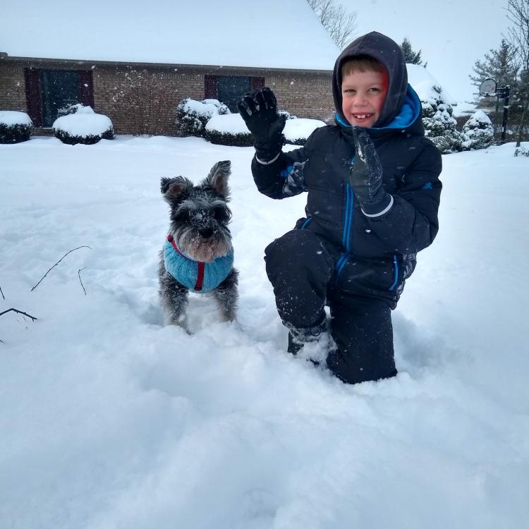 little boy and schnauzer wearing a coat, playing in the snow