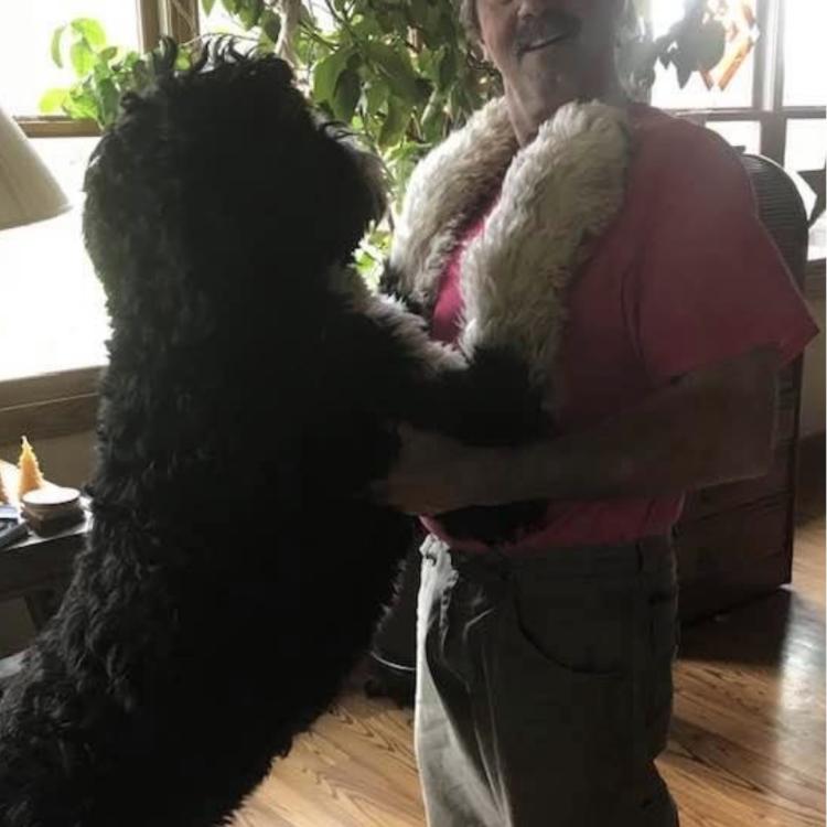 man with dog's paws on shoulders