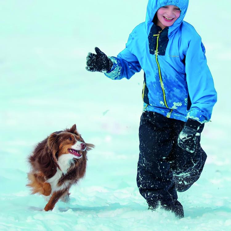 boy and dog running in the snow