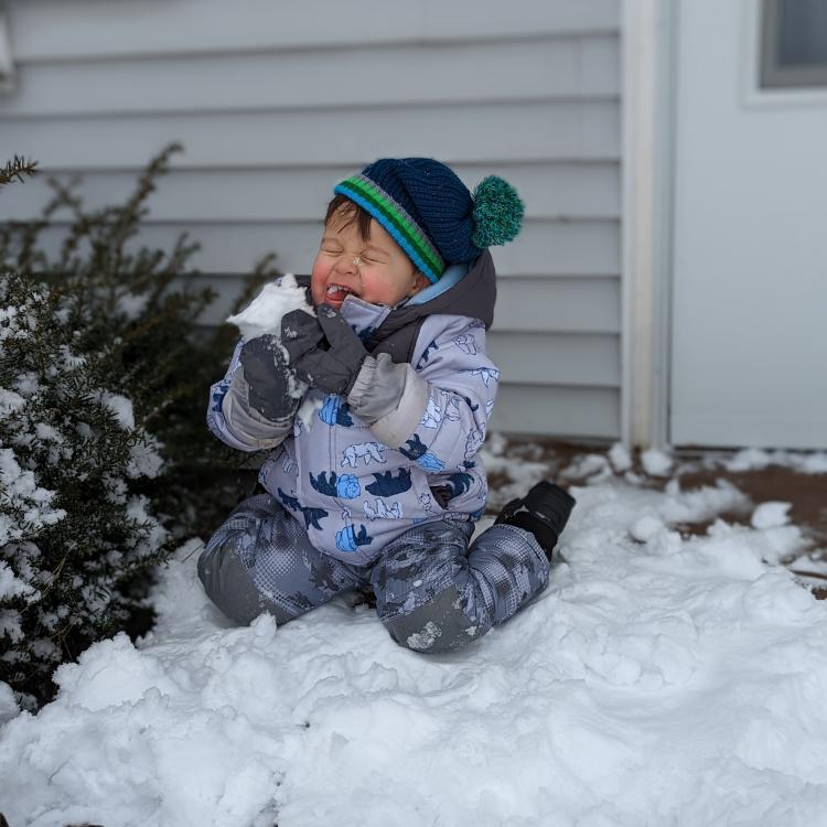 Toddler in snow suit, eating snow