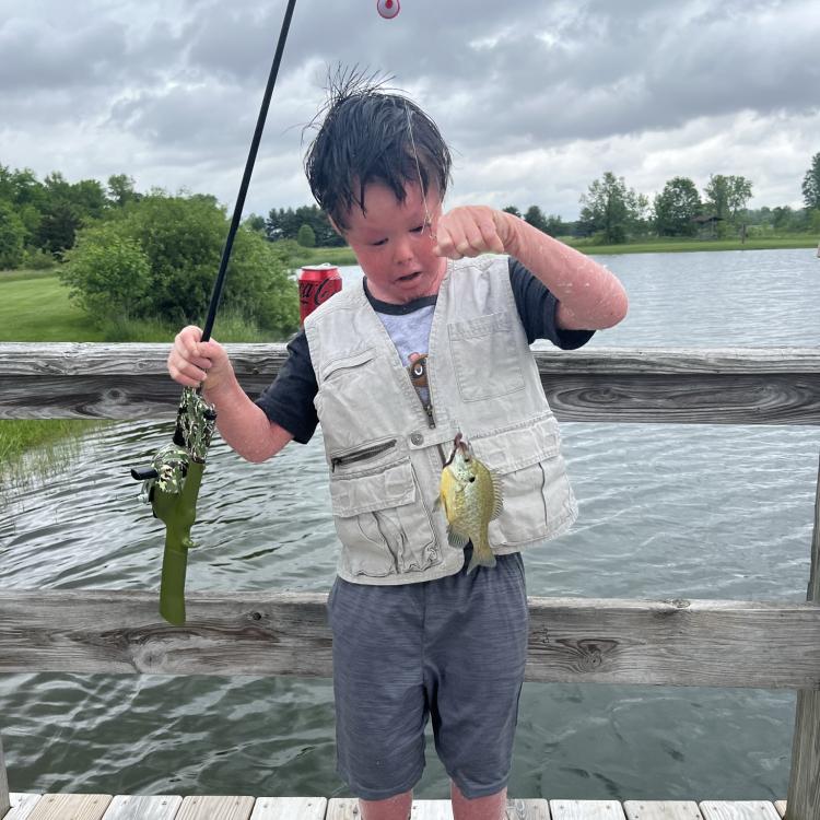 young boy looking at a fish