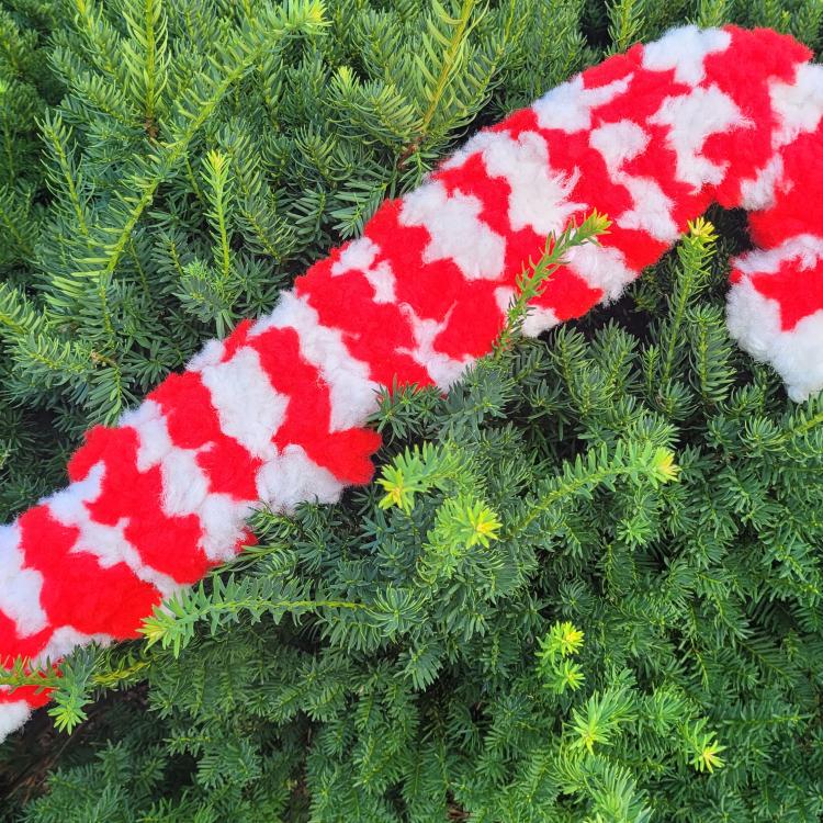 red-and-white striped candy cane on pine branches