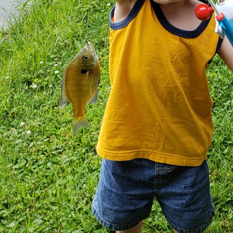 boy smiling holding a fish