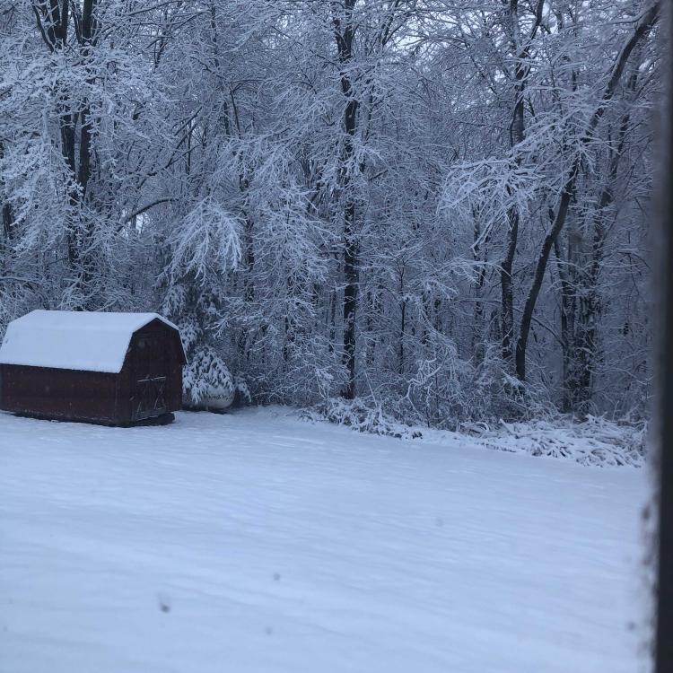 small red barn in front of snowy woods