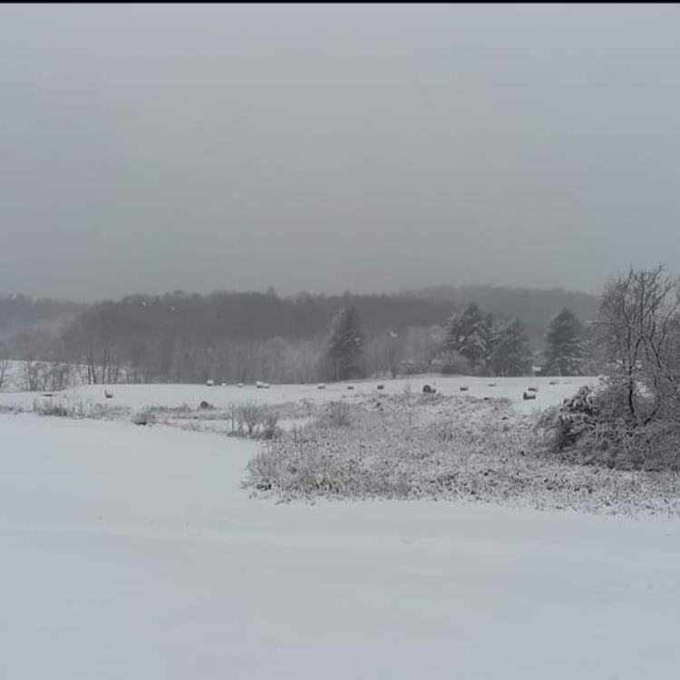 snow fields with barn in the background